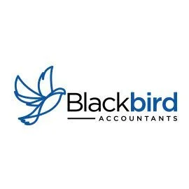 blackbird-logo in soft studios