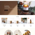 shopify-website-development 2023 in Soft Studios